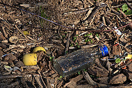 Bernhard Saalfeld - DSC01542 -1